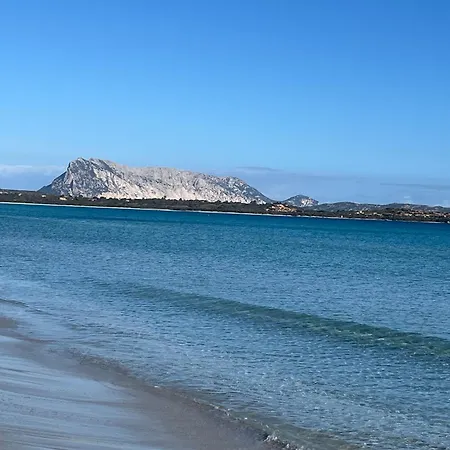 Lodge Mbita Sardegna Brunella